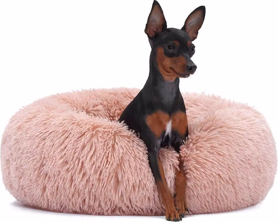 Letto Jenny Rosa Chiaro 3XL