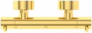 Brausethermostat CERATHERM T125 AP, Pin-Griffe oro spazzolato oro spazzolato