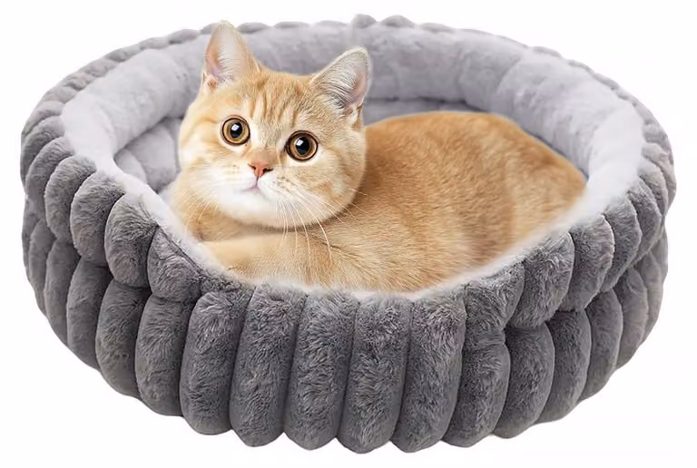 Cuccia a forma di ciambella per cani e gatti di piccola taglia, rotonda e lavabile
