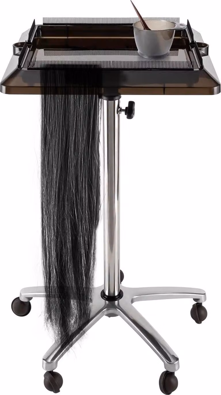 Portautensili per extension capelli - Carrello da parrucchiere - Regolabile in altezza - Piattaforma di appoggio - Supporto separatore - ABS, PP e acciaio inossidabile - Argento e nero