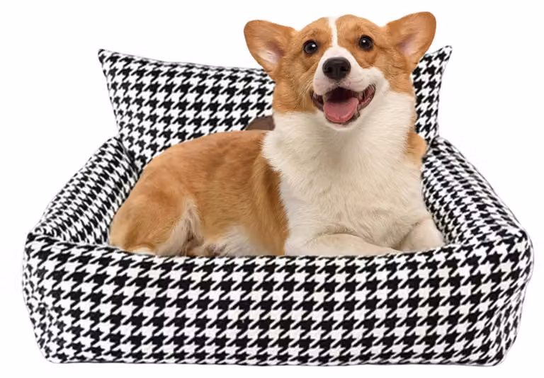 Cuccia ortopedica per cani di piccola e media taglia