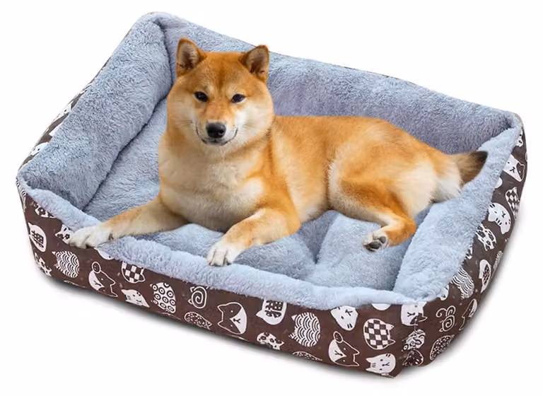 Omgoods: Cuccia lavabile e confortevole per cani e gatti, traspirante e antiscivolo