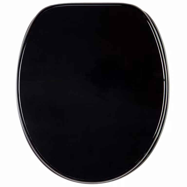 SANILO® Sedile per WC con chiusura ammortizzata nero, sedile per WC, sedile per WC, sedile per WC, sedile per WC, sedile per WC direttamente dal produttore