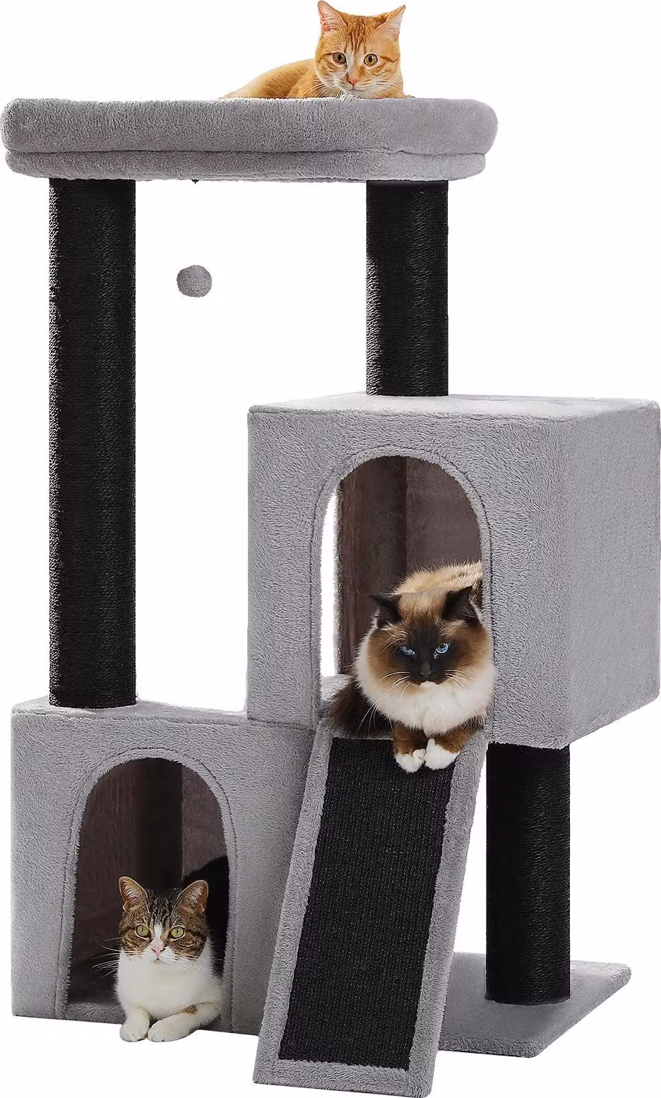 Albero per gatti, design a più livelli, struttura robusta, AMT0267BK, L