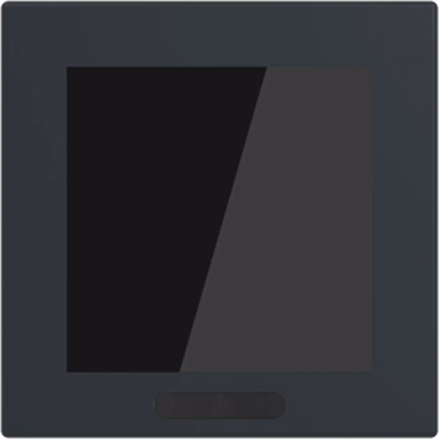 Busch-Jaeger Display 2,4" Formato 63 - solo/future, 1 pz.