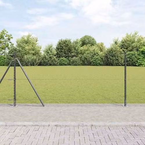 Mini taglia-cipolle: taglia-cipolle manuale di piccole dimensioni con impugnatura antiscivolo
