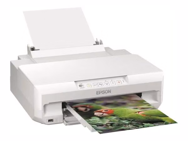 Epson stampante inkjet wireless a4 expression photo xp-65 - C11CK89402
