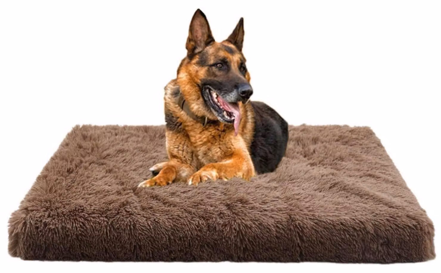 Cuccia morbida per cani con memory foam, 120x80 cm, color marrone