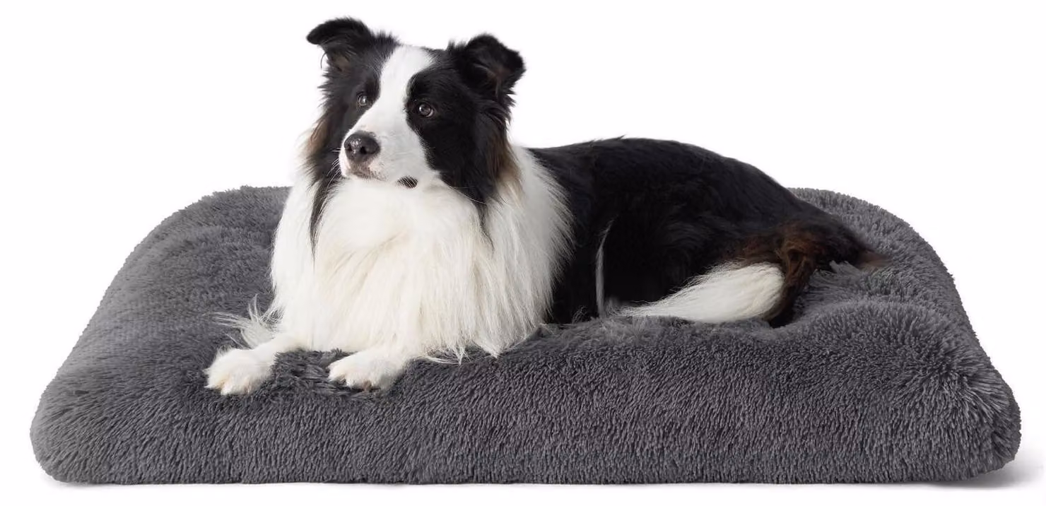 Cuccia per cani, lavabile, in morbido tessuto, color grigio scuro, dimensioni 89x58 cm