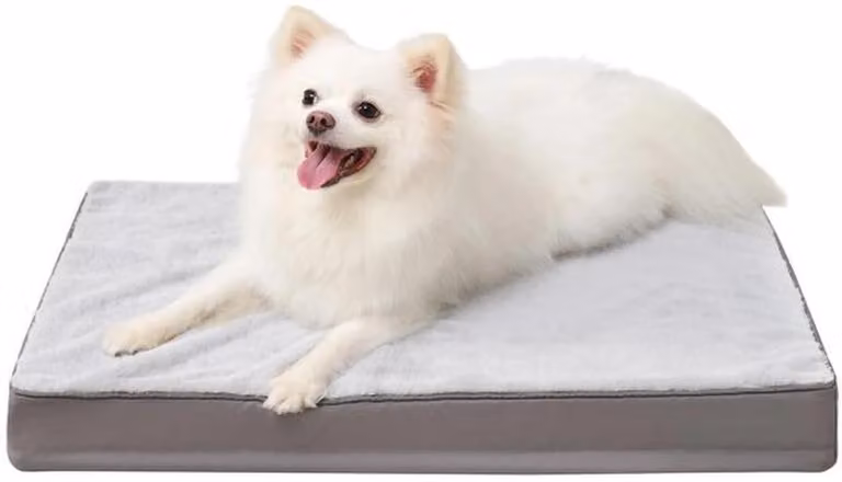 Azomor® Cuscino ortopedico per cani di piccola taglia, rivestimento sfoderabile e lavabile, sostegno ottimale