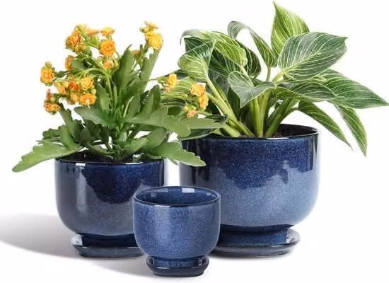 Set da 3 vasi in ceramica VICRAYS blu con sottovaso per piante indoor, succulente e fiori