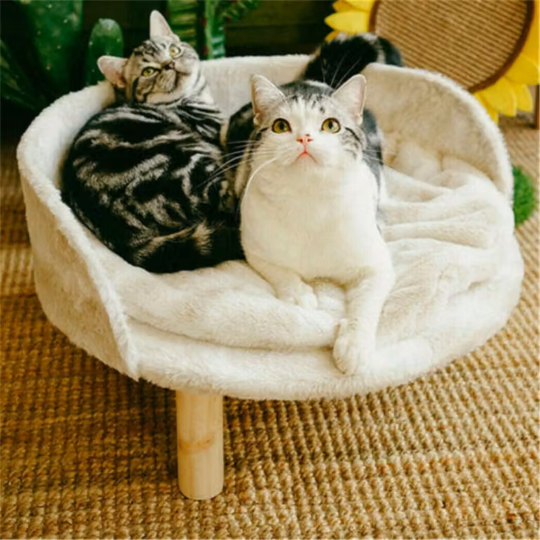 WISFOR divano per cani con rivestimento morbido, divano per animali domestici divano per gatti gambe in legno schienale, letto per cani 41,5 × 32,8 cm