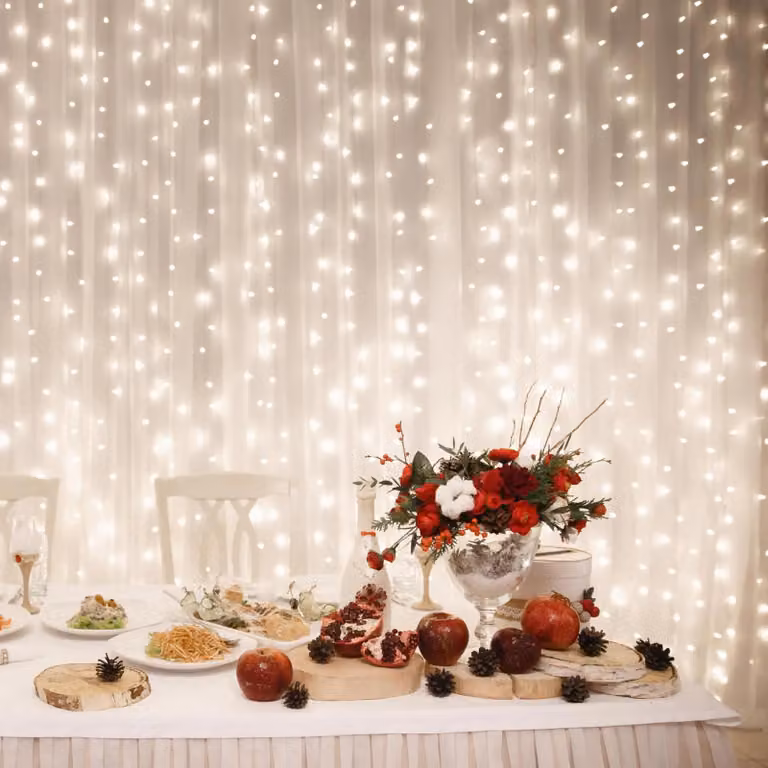 Set di luci LED natalizie HOME DLF210/WW 210pcs 2x1m bianco caldo IP44