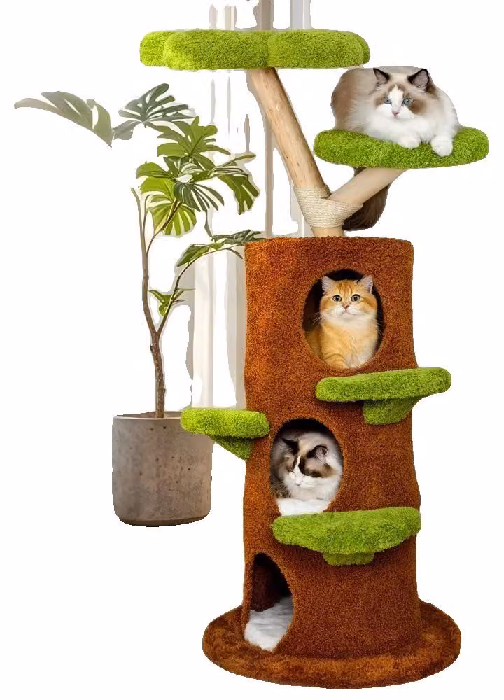 Katzenbaum, design modulare, rifugi accoglienti, verde