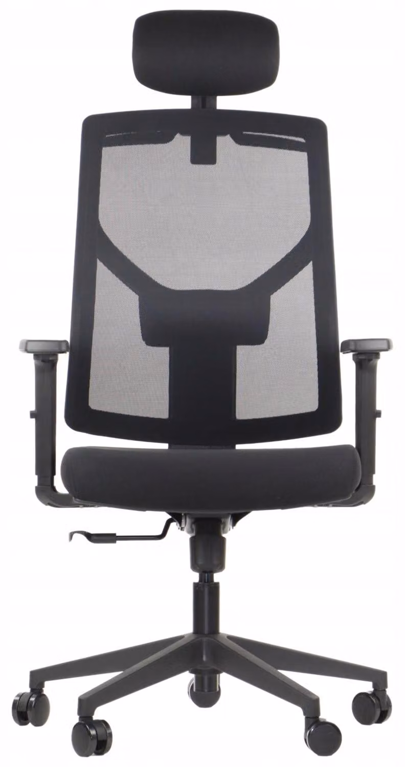 Sedia girevole ergonomica da ufficio CURTIZ, base in nylon, braccioli regolabili, poggiatesta e schienale in rete, nera