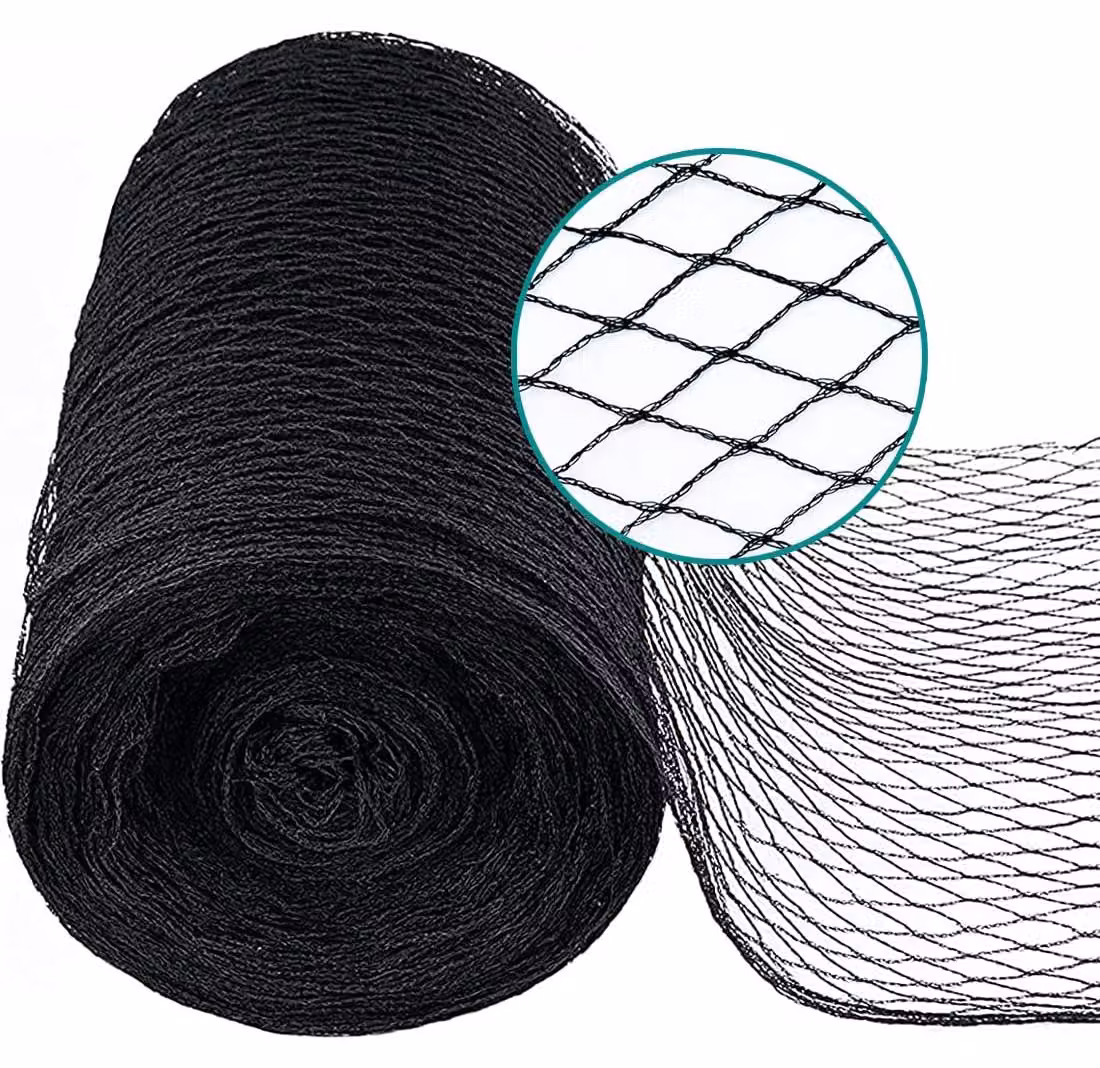 Rete a maglia fine (10 x 10 mm), dimensioni 2 x 5 metri