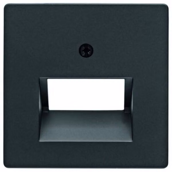 Berker ZST F.DATENDOSE 2F, nero, materiale (14096085 Q.X)