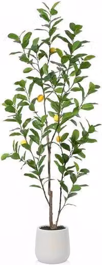 Pianta Artificiale di Limone 180 cm con Frutti Realistici in un Vaso Bianco, Pianta Artificiale per Decorazione Moderna (1 Pezzo)