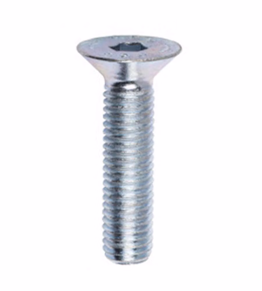Viti metriche TSPEI Inox A2 - M8 x 40 - 4 pz.