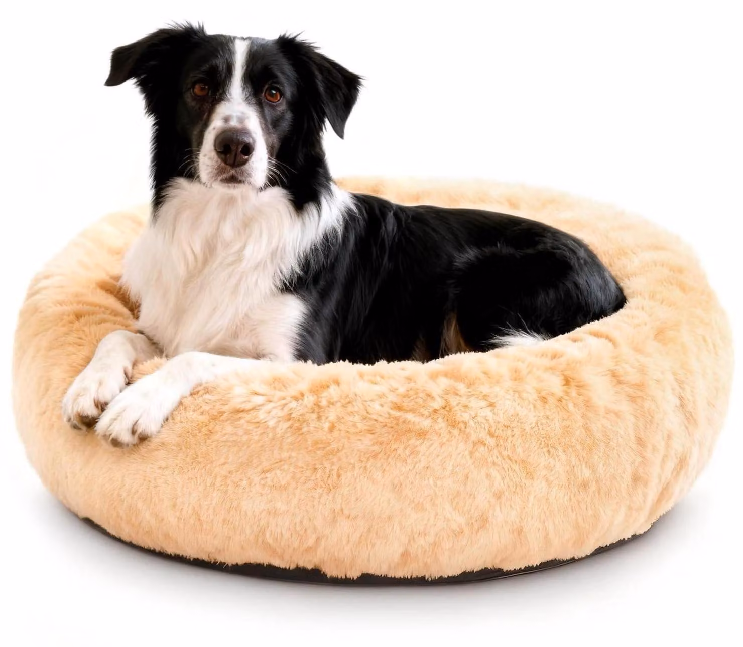 Cuccia per cani, forma rotonda, pelo sintetico ad alta densità, colore beige, dimensioni L (diametro 80 cm), lavabile, antiscivolo