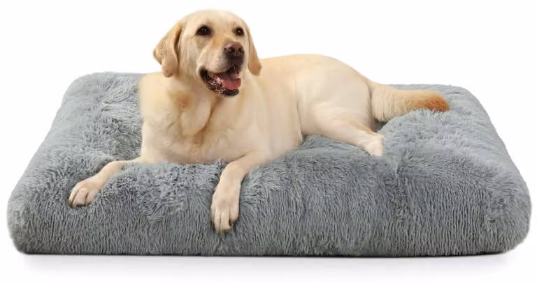 SolidKeus - Cuccia imbottita lavabile per cani di taglia grande e media