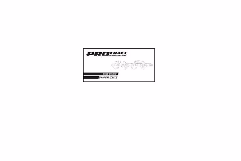 Catena per sega a nastro 21ML .325 .058 100FT Procaft 21ML