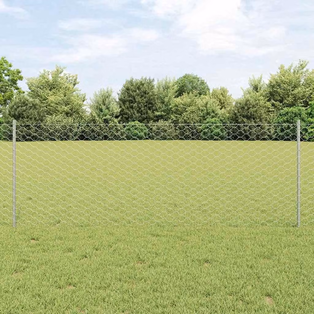 Maison Exclusive - Recinzione con Posto Argento 0,8 x 10 m Acciaio