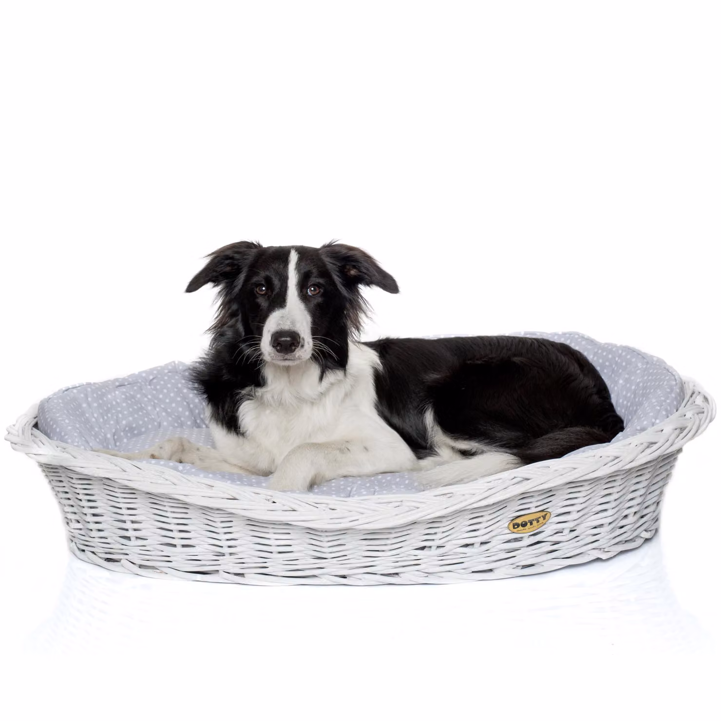 Cesto in vimini bianco sbiancato per cani Cesto Wiki con cuccia in cotone - Beige con motivo a scacchi - DOTTY