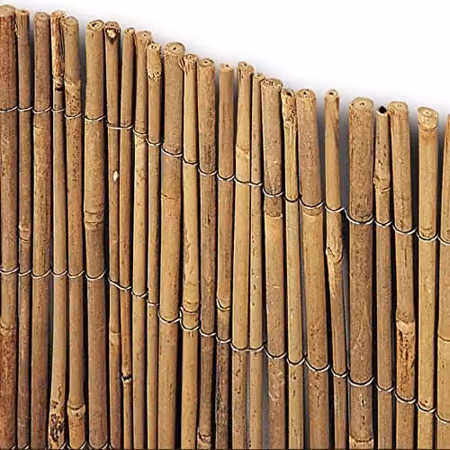 Verdelook Arella Bambù Naturale - Time - 150x300 cm