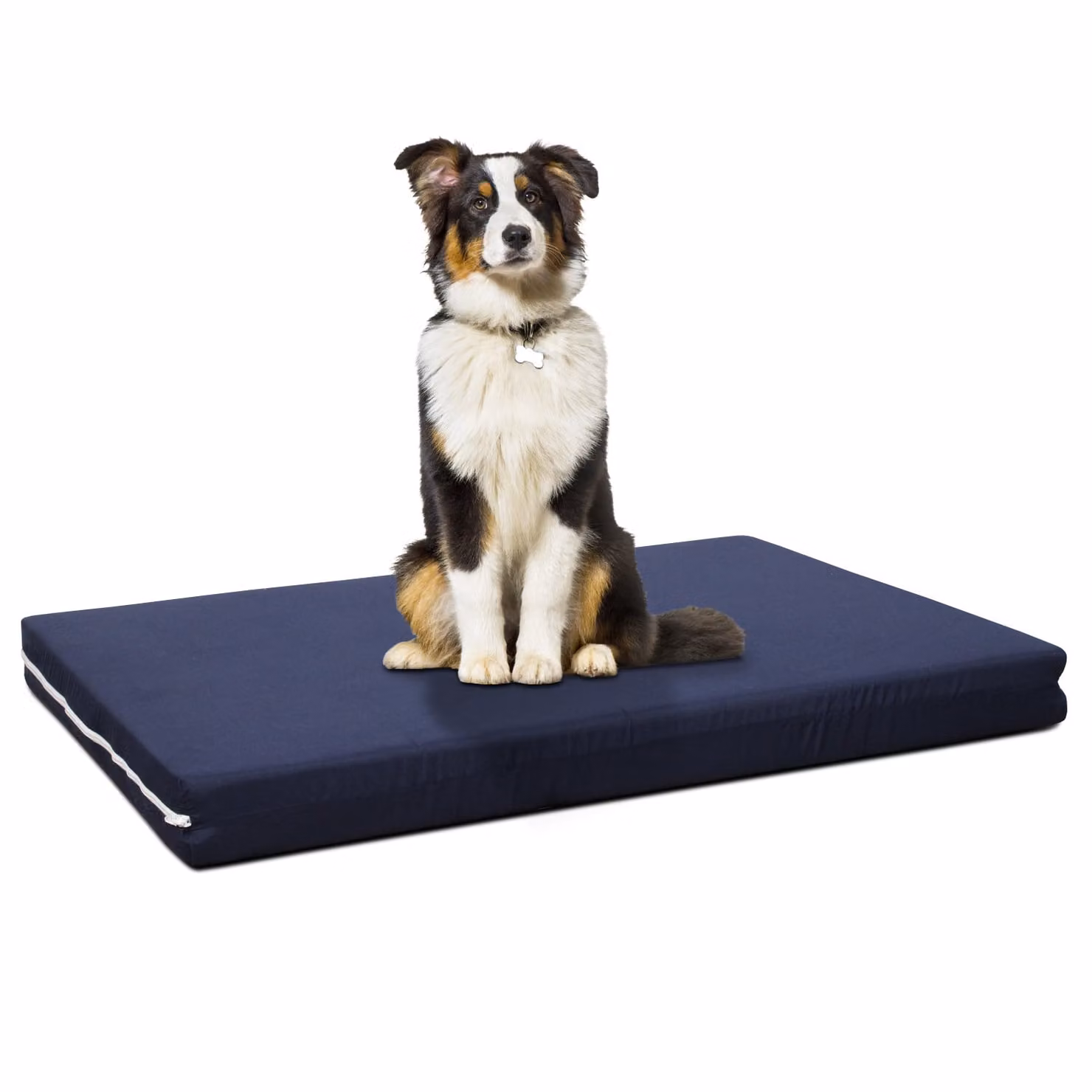 Cuccia Cane da interno Sfoderabile PetLove 70x90 cm Si Blu