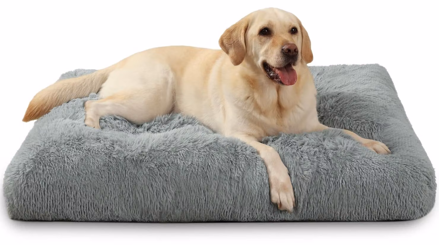 Omgoods - Cuccia imbottita per cani, grande - Lavabile e antiscivolo