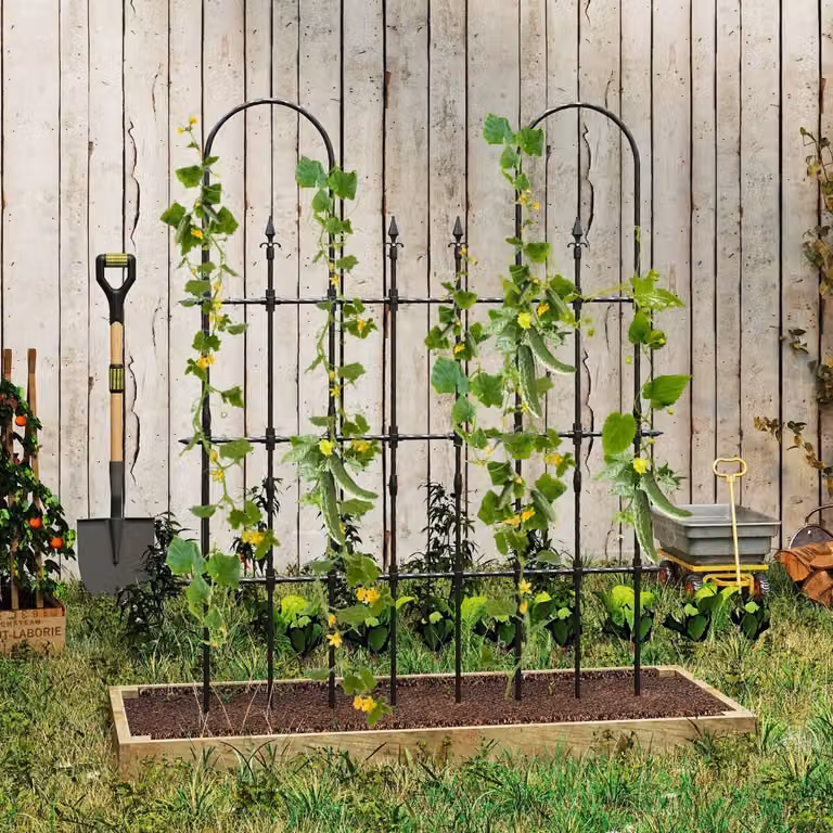 Set di 2 supporti da giardino per piante rampicanti Costway in metallo antiruggine nero L: 146 cm, H: 186 cm