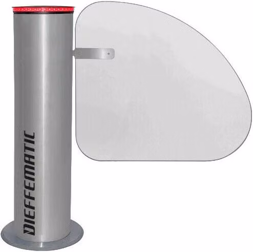 Tornello per portello a battente motorizzato Dieffematic in acciaio inox color argento con anta da 60 cm