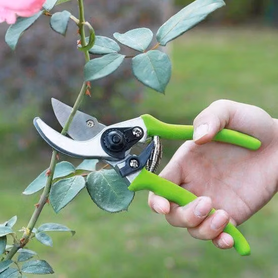 Set di forbici da giardino Unyqoos® composto da 2 pezzi: lame in acciaio temprato con rivestimento in teflon, impugnature in nylon, tronchesi da 38,1 cm e forbici da 20,3 cm, con sistema di sicurezza