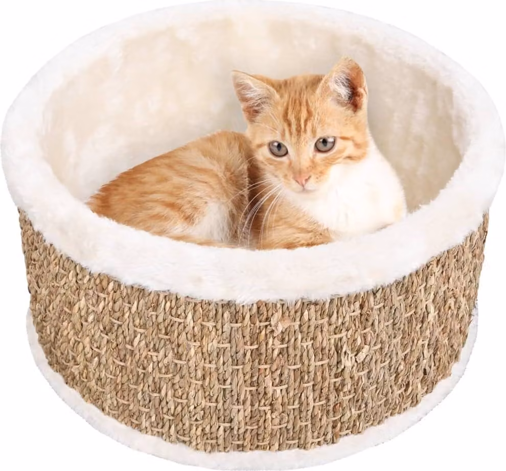 The Living Store Cestino per gatti rotondo 36 cm in seagrass