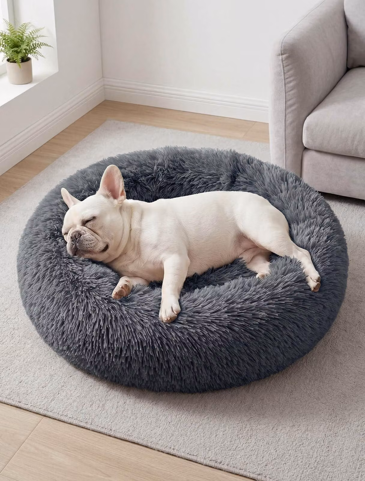 Solidchoice - Cuccia a forma di ciambella per cani, disponibile in diverse dimensioni