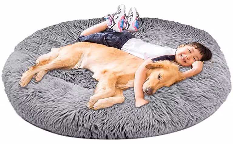 Cuccia ortopedica rotonda per cani, taglia XXL, grigia, lavabile, con memory foam antistress