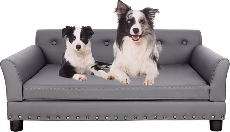 WISFOR divano per animali domestici con schienale, divano per cani, tappetino per cani, letto per cani, L: 96 x 72 x 40 cm