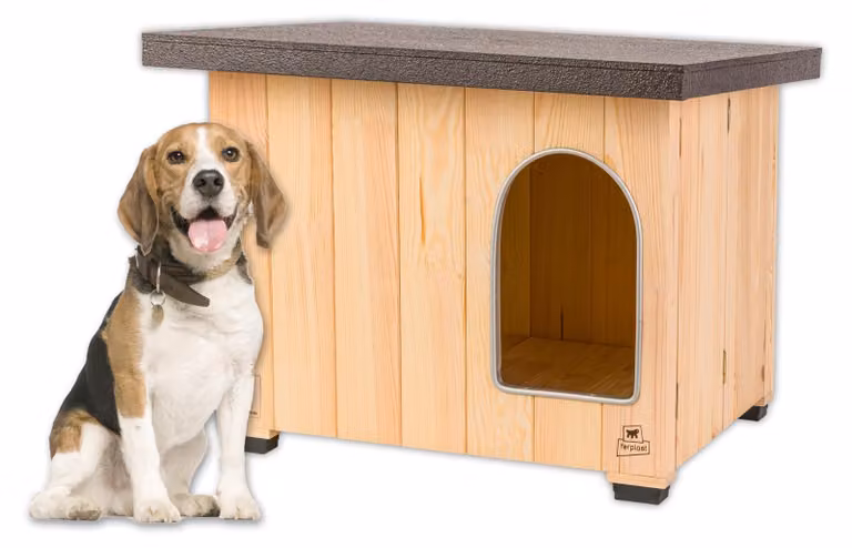 Cuccia per cani Ferplast in legno, adatta per l'esterno – Cuccia isolata per tutte le stagioni, modello Wett