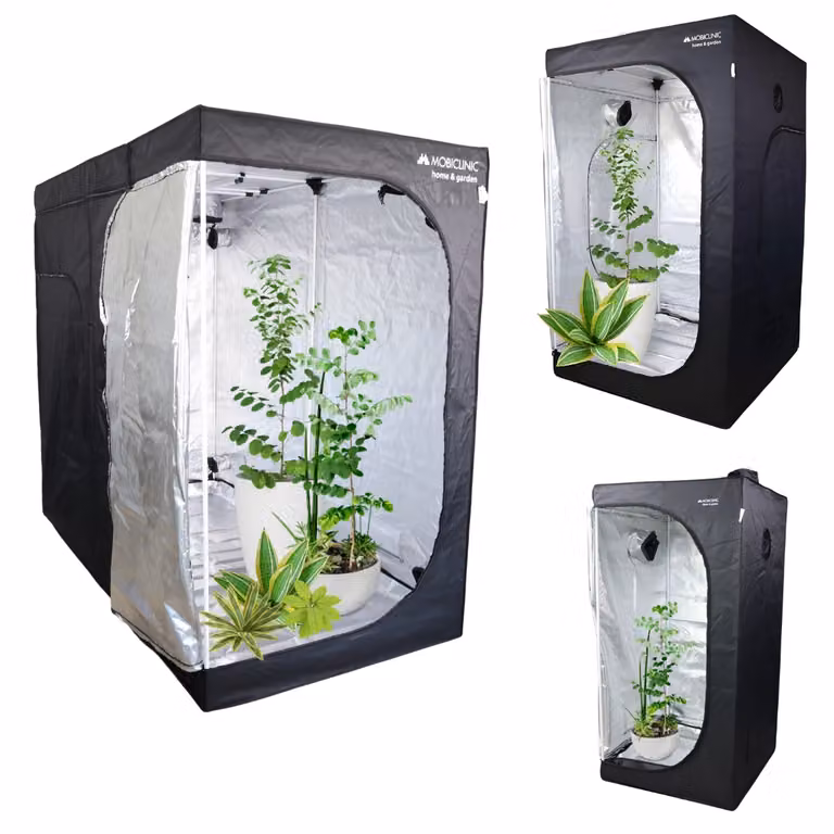 Tenda di coltivazione Mobiclinic 120x120x200cm Indoor Premium Mylar 97% riflettente Sistema idroponico Grow Box Struttura stabile Tenda di coltivazione