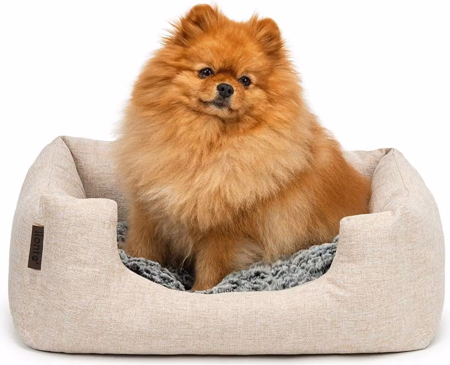 lettino per cani lionto, accogliente letto per cani con cuscino reversibile e rimovibile, base antiscivolo, 60x50 cm, beige