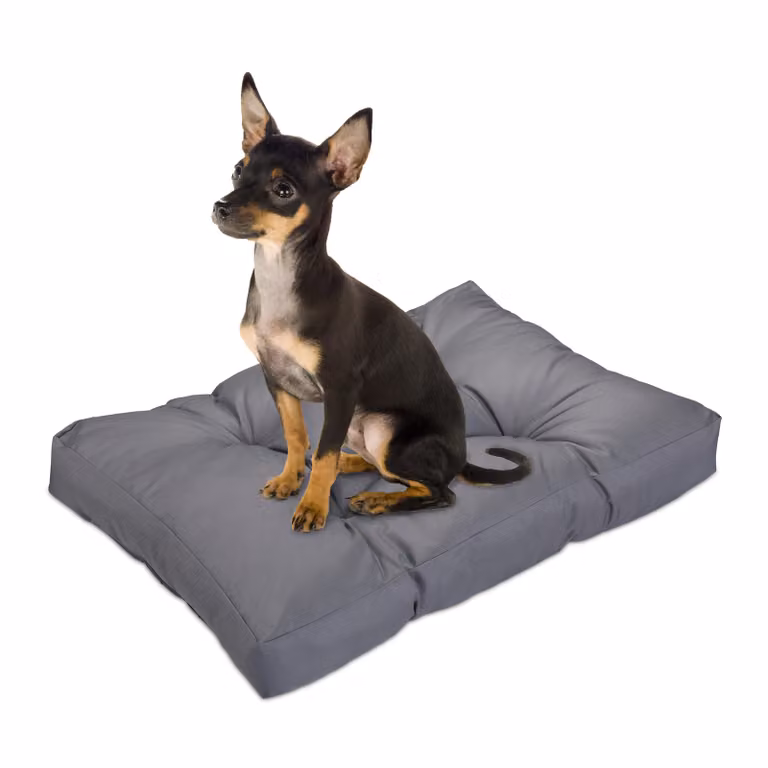 letto per cani relaxdays grigio