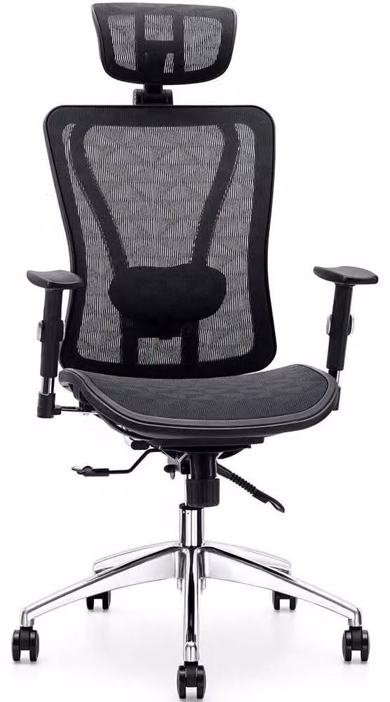 Sedia da ufficio ergonomica con supporto lombare regolabile