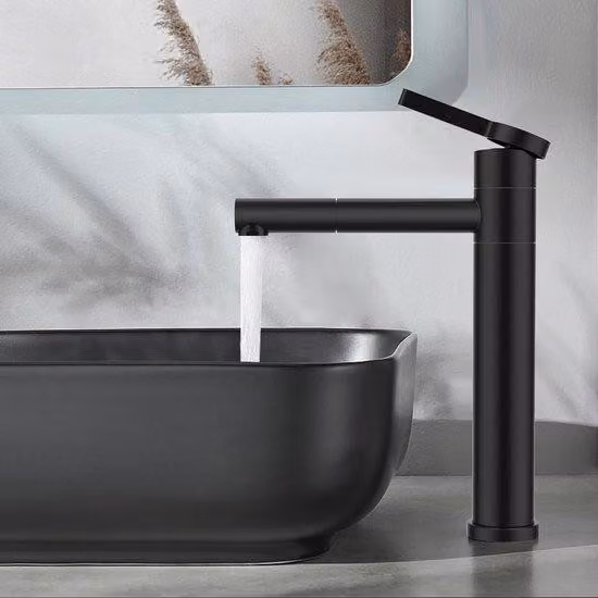Braccio di lavaggio in acciaio inossidabile, nero, per lavabi alti, con ugello a 360 gradi, dal design moderno.