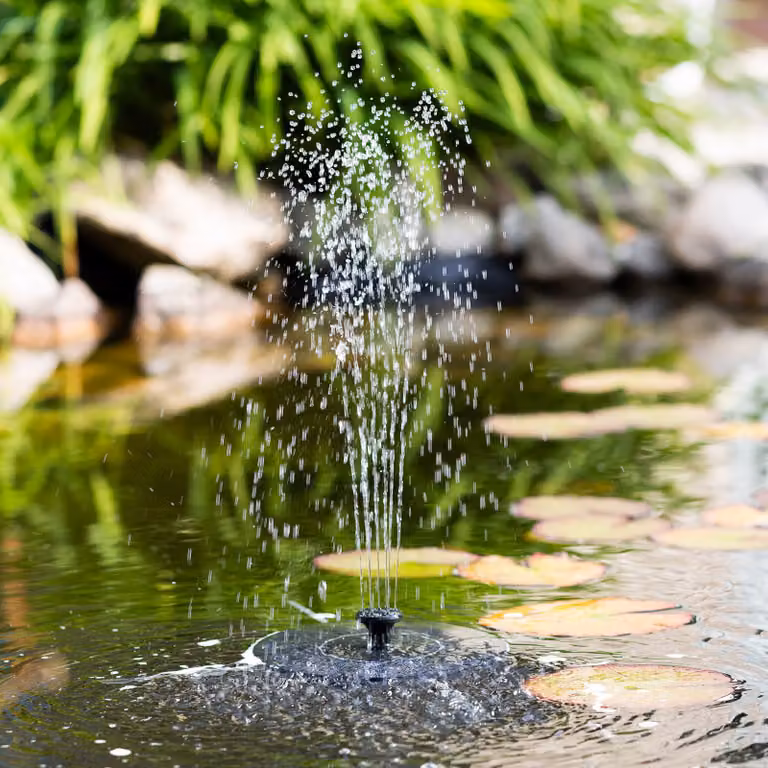Fontana solare Ø 16 cm con 7 accessori