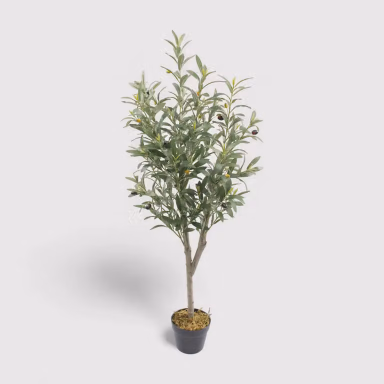 Thoka - Piccola pianta artificiale di ulivo con vaso H 120 cm