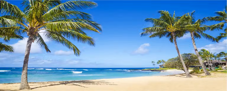 Pannello protettivo per cucina Tulup® in vetro temperato - 125x50 - Protezione anti-schizzi con decoro: paesaggio, spiaggia tropicale