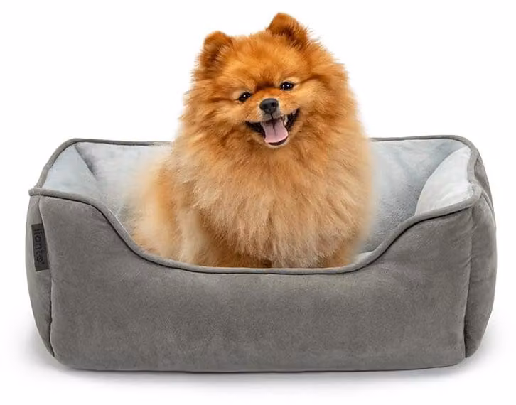 cuccia per cani lionto - cesto reversibile 2 in 1, morbidamente imbottito e di facile manutenzione, con ingresso basso, 60x50 cm, grigio chiaro/grigio scuro