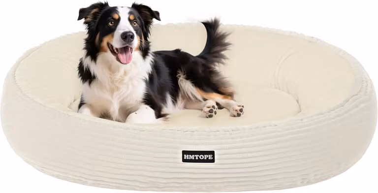 Cuccia per cani, diametro 80 cm, rotonda, in velluto morbido, con rivestimento removibile e base antiscivolo, color beige, per interni