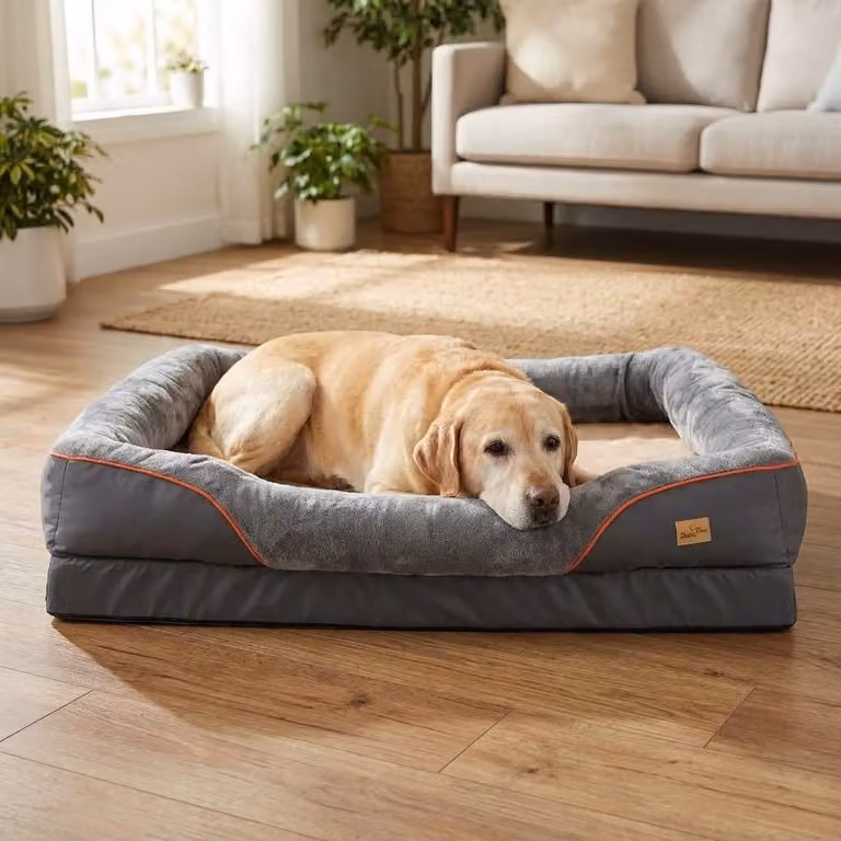 WISFOR letto per cani ortopedico, divano per cani, cuscino per cani, cestino per cani, lavabile e antiscivolo, sfoderabile, L: 83x57x25cm